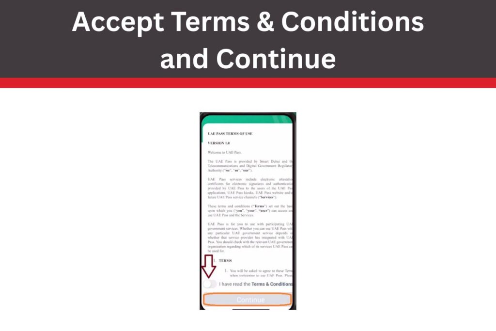 Accept Terms & Conditions and Continue