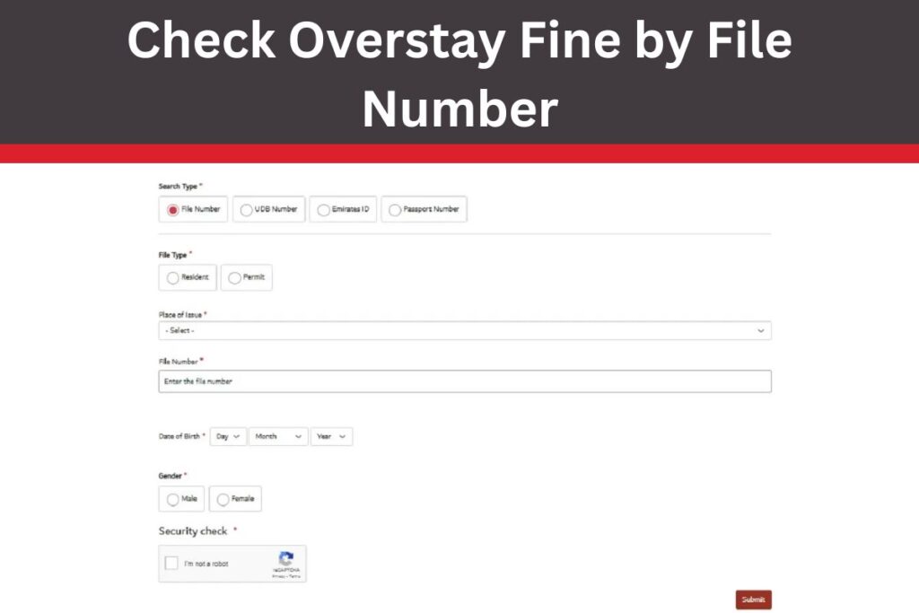Check Overstay Fine by File Number