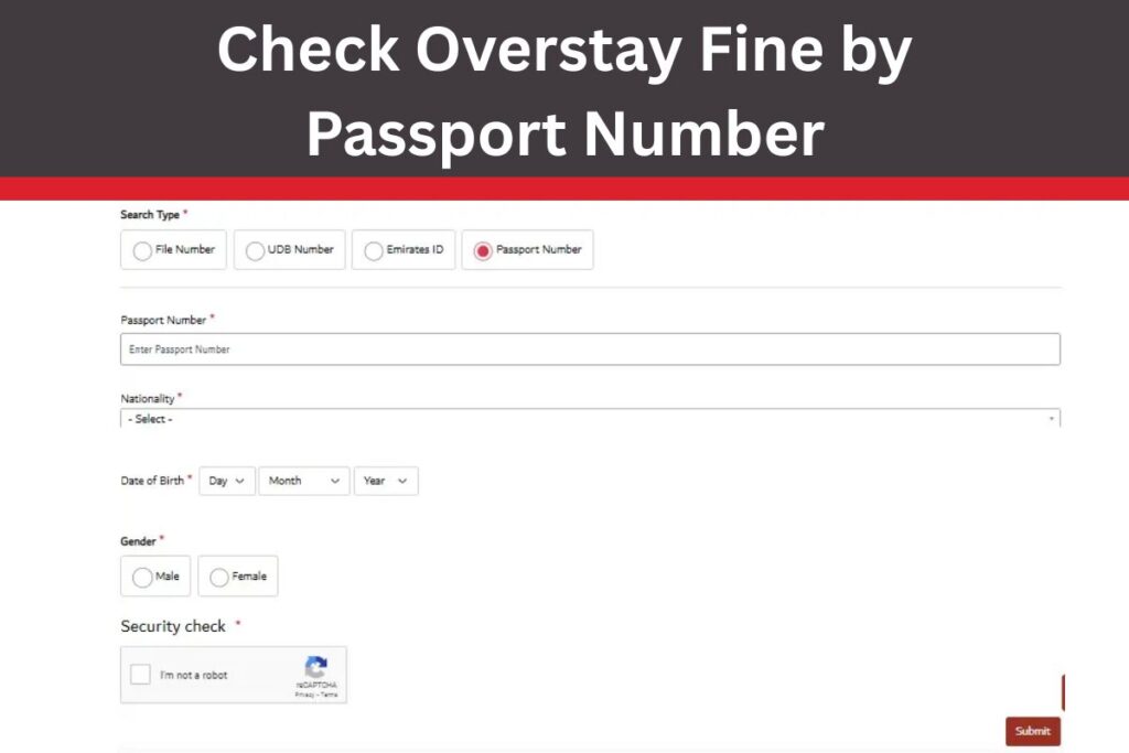 Check Overstay Fine by Passport Number