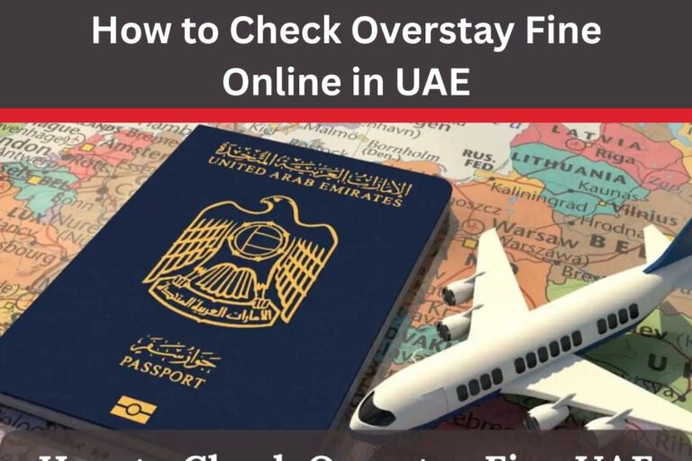 How to Check Overstay Fine Online in UAE