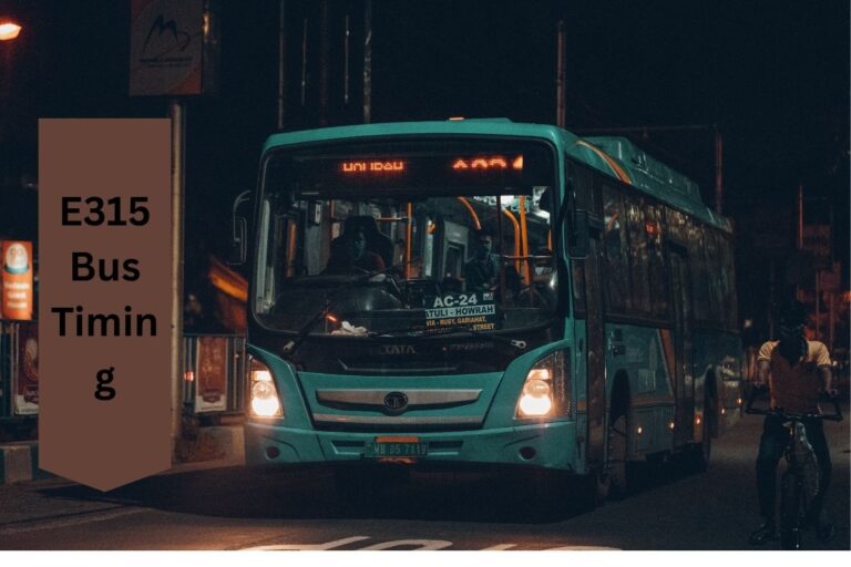 E315 Bus Timing