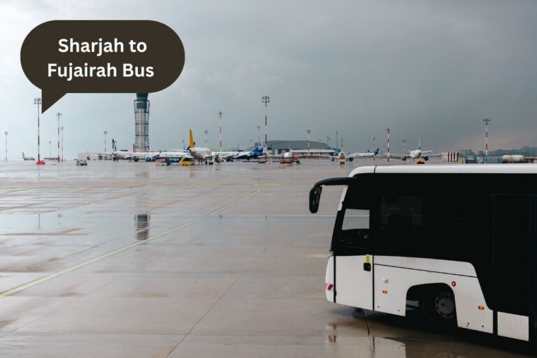 Sharjah to Fujairah Bus