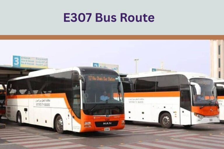 E307 Bus Route